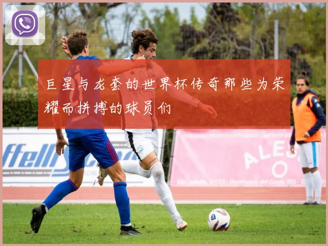 巨星与龙套的世界杯传奇那些为荣耀而拼搏的球员们