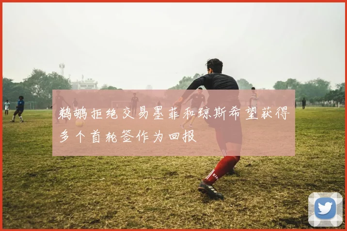 鹈鹕拒绝交易墨菲和琼斯希望获得多个首轮签作为回报